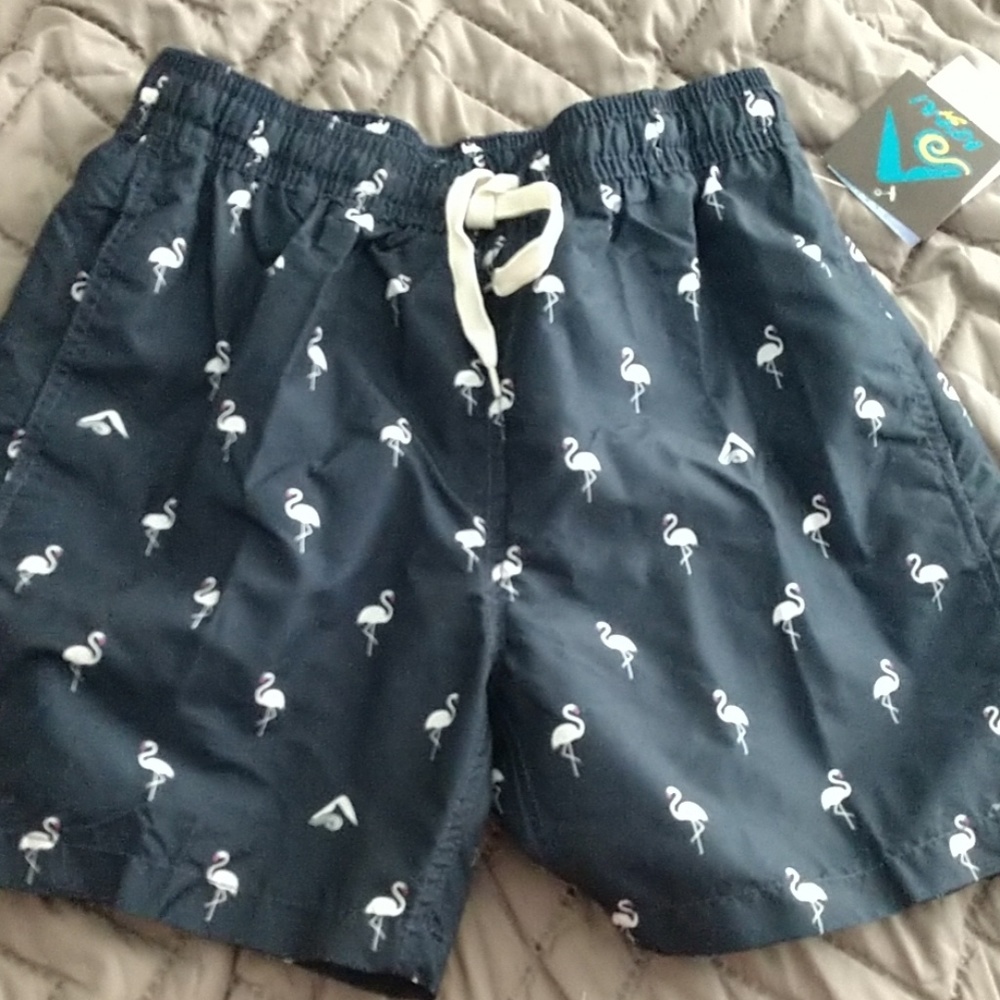 Men's Swim Shorts